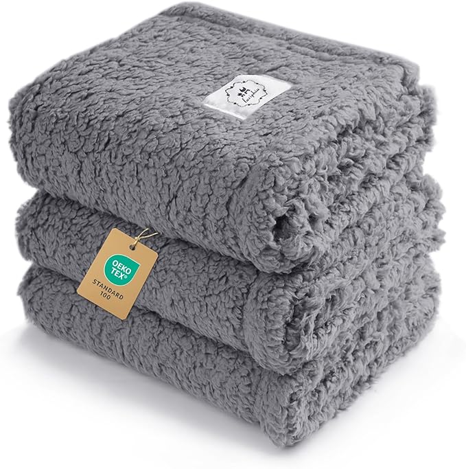 Pet Beds & Furniture