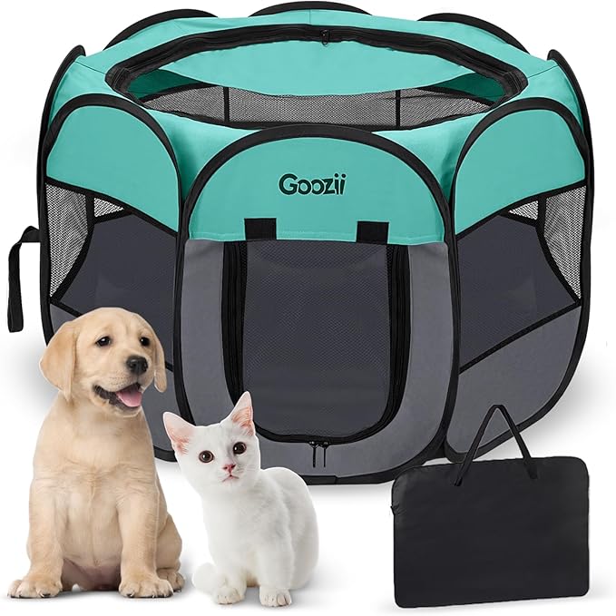 Cat Doors