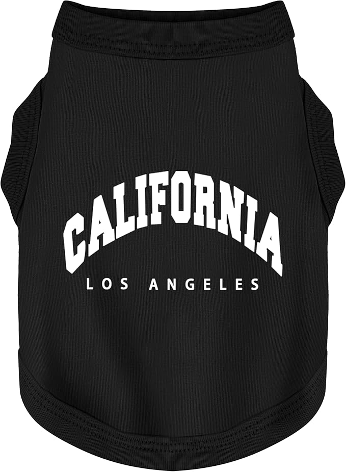 Pet Apparel & Accessories
