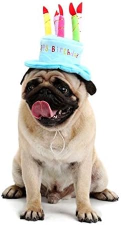 Cute Adorable Dog Cat Birthday Cake Hat Pet Cap Headwear Hat with 5 Color Candles Design Party Custom Accessory (One Size fits Most) (Pink)