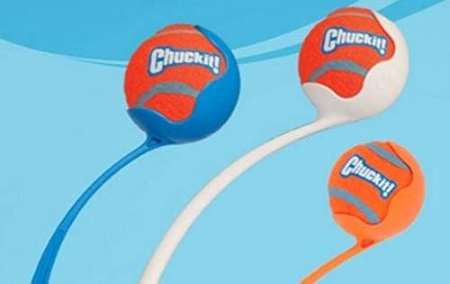 Chuckit! Dog Tennis Ball Dog Toy, Extra Large (3.5 Inch Diameter) for dogs 100+ lbs, Shrink Wrap Pack of 2