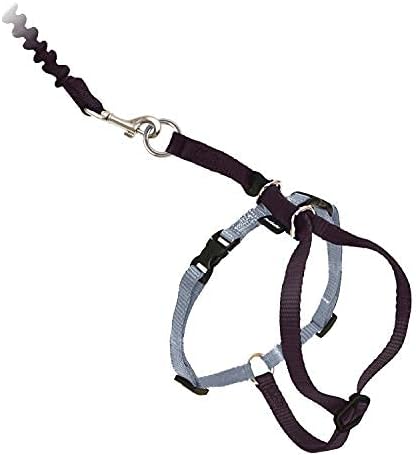 PetSafe Come With Me Kitty Cat Harness & Bungee Leash - Comfortable Cat Harness with Lightweight Bungee Leash for Outdoor Fun - More Secure Walks - Medium - Black