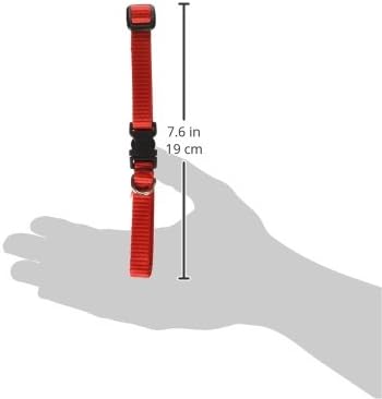 LupinePet Basics 1/2" Red 10-16" Adjustable Collar for Small Dogs