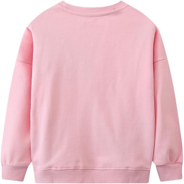 Toddler Baby Girls Cotton Sweater, Long Sleeve Crewneck Sweatshirt Pullover Kids Warm Clothing for Fall Winter