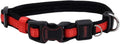 Coastal Pet - Coastal - Inspire Enhanced Core - Adjustable Collar, Red, 1" x 14"-20"