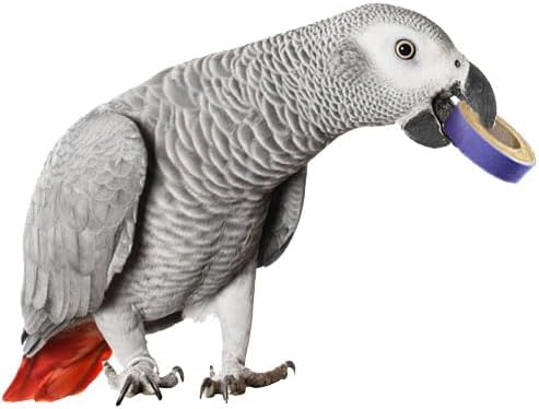 Super Bird Creations SB1155 Fatty Bagels - Durable Cardboard Core Bird Toy Components, Ideal for Parrots, Chewing and Play, Perfect Refill for SB1107 Bagel Cascade - Bird-Safe Paper, Pack of 24