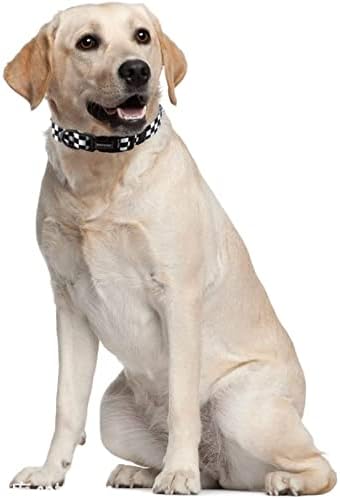 Roses&Poetry Dog Collar with Colourful Checkered Patterns, Adjustable Durable Puppy Collars for Small Medium Large Dogs (Black & White-XS)