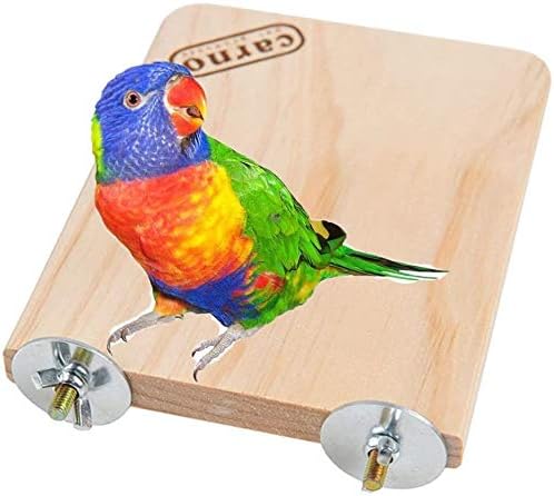 Litewoo Bird Wood Perch Platform Stand Shelf for Birds Budgie Parakeet Cockatiel Conure Cockatoo（Medium）