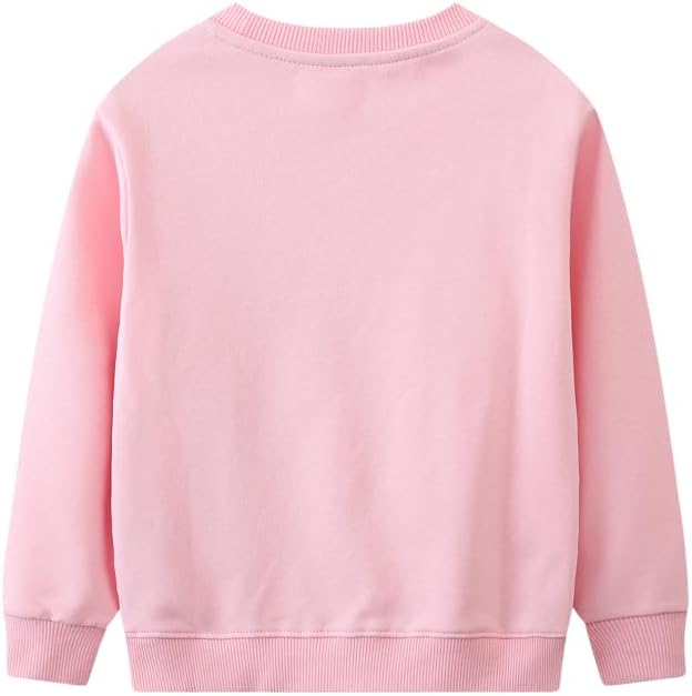 Toddler Baby Girls Cotton Sweater, Long Sleeve Crewneck Sweatshirt Pullover Kids Warm Clothing for Fall Winter