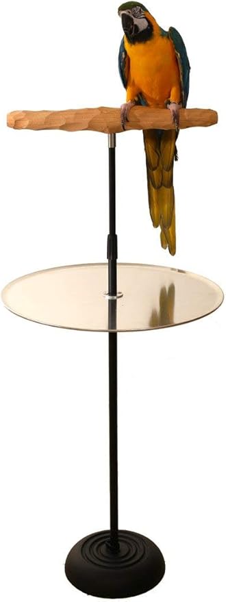 Parrot Training Perch Stand with Potty Tray (T Perch Hardwood, Small)