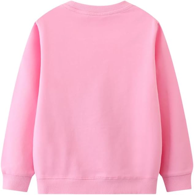 Toddler Baby Girls Cotton Sweater, Long Sleeve Crewneck Sweatshirt Pullover Kids Warm Clothing for Fall Winter