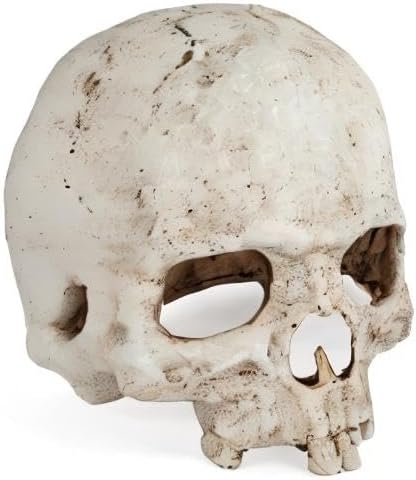 Uniclife Aquarium Skull Reptile House Decor Resin Head Skeleton Ornament for Tank Landscape Decorative Hideout Cave Shelter for Small Fish Shrimp Snail Gecko Spider Lizard in 5-20 Gallon Fish Tank