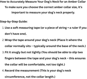 Baltic Amber Dog & Cat Collar - Adjustable Leather Strap with Raw Knotted Amber Beads (25-30cm)