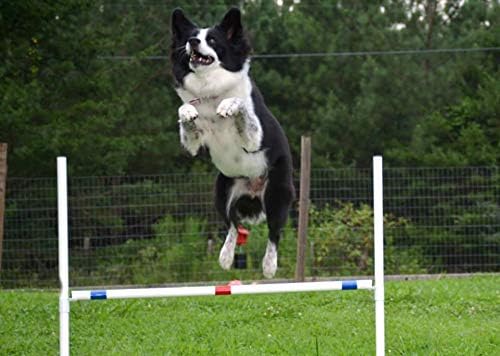 Dog Agility Travel Jump Set 4 Bar Jumps Total with Adjustable Jump bar and Dog Agility Jump Cups