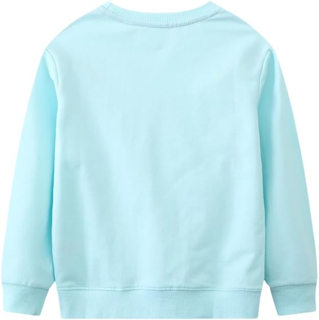 Toddler Baby Girls Cotton Sweater, Long Sleeve Crewneck Sweatshirt Pullover Kids Warm Clothing for Fall Winter