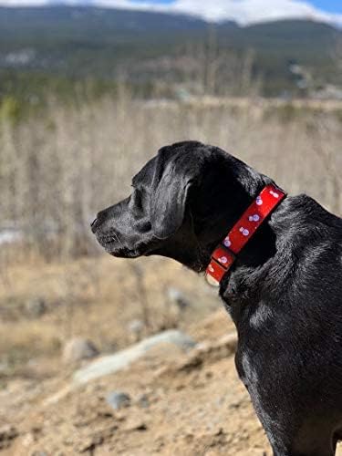Native Pup Christmas Dog Collar- Winter Holiday Collars for Pets- Xmas Gift for Puppy- Santa, Reindeer, Snowman, Candy Cane, Red Green- Girl Boy- Small, Medium, Large Breeds (Snowman, Medium)