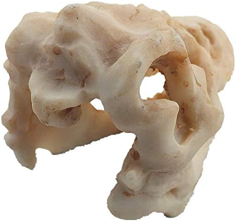 2 Pack Dinosaur Aquarium Decorations Skull Aquarium Ornament Mini Dinosaur Mold Decoration Tank Reptile Hide Decor with Holes Fish Tank Landscape Reptile Betta Fish Hideout Caves