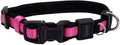Coastal Pet - Coastal - Inspire Enhanced Core - Adjustable Collar, Pink, 1" x 14"-20"