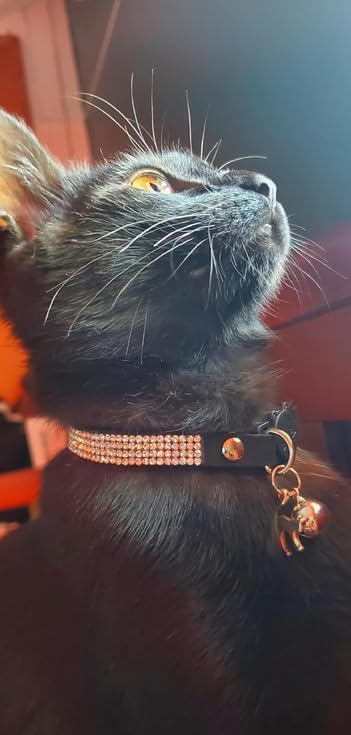 Rhinestone Cat Collar Breakaway with Bell Safety Buckle, Adjustable Diamond Girl Boy Kitty Cute Comfy Collar for Kitten Tiny Little Pets Rabbits, 6"-9" Black Extra Small