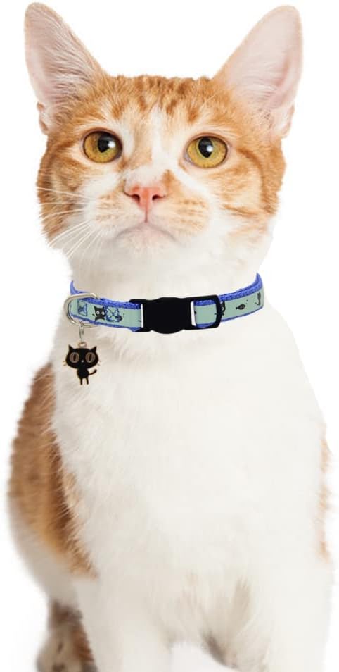 2 Pack Glow in The Dark Cat Collar with Bell Breakaway Safety Cat Puppy Collars with Pendant Red and Blue