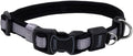 Coastal Pet - Coastal - Inspire Enhanced Core - Adjustable Collar, Grey, 1" x 18"-26"