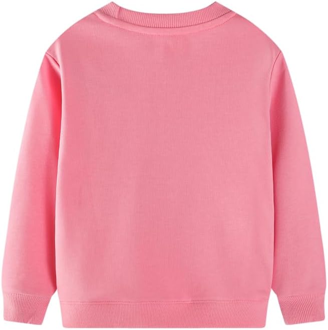 Toddler Baby Girls Cotton Sweater, Long Sleeve Crewneck Sweatshirt Pullover Kids Warm Clothing for Fall Winter
