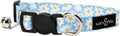 Lucy & Co. Simply Splendid Breakaway Cat Collar with Bell – Designer Print Adjustable Safety Collar for Cats, Kittens & Small Dogs, Lightweight Pet Collar for Boy & Girl Cats – Small