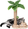 Meowoou Cat Scratching Post Cat Scratcher Interactive Toy with Dangling Ball for Indoor Kitten 2 Layer Base Wooden Ball Track 17.7" Tall Modern Sisal Scratch Pole