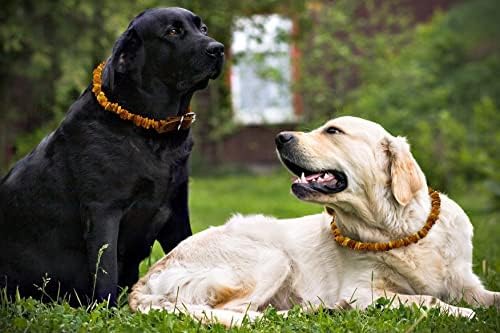 Baltic Amber Dog & Cat Collar - Adjustable Leather Strap with Raw Knotted Amber Beads (25-30cm)