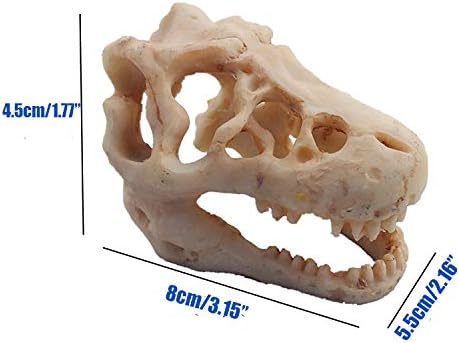 2 Pack Dinosaur Aquarium Decorations Skull Aquarium Ornament Mini Dinosaur Mold Decoration Tank Reptile Hide Decor with Holes Fish Tank Landscape Reptile Betta Fish Hideout Caves