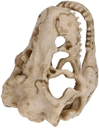 2 Pack Dinosaur Aquarium Decorations Skull Aquarium Ornament Mini Dinosaur Mold Decoration Tank Reptile Hide Decor with Holes Fish Tank Landscape Reptile Betta Fish Hideout Caves