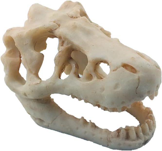 Resin Dinosaur Skull Aquarium Ornament Mini Dinosaur Tank Decoration Betta Fish Small Dinosaur Skull Fish Reptile Tank with Holes Aquarium Landscape Reptile Hideout Caves