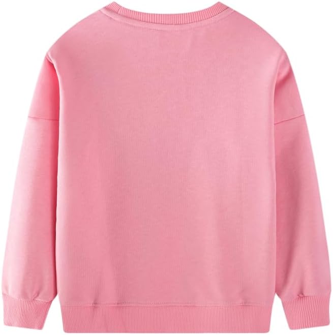 Toddler Baby Girls Cotton Sweater, Long Sleeve Crewneck Sweatshirt Pullover Kids Warm Clothing for Fall Winter