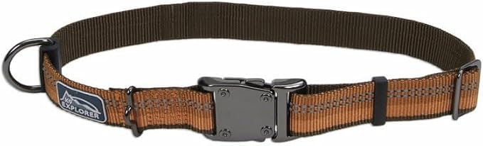 Coastal Pet K9 Explorer Reflective Adjustable Dog Collar - Comfortable Collar for The Outdoors - Durable, Lightweight Accessory with Side-Release Buckle - Campfire Orange, 1" x 12-18"