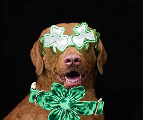 Lionheart Glory St. Patrick's Day Dog Collar, Dog Collar with Flower, Cute Floral Pattern Pet Collars Adjustable Pet Collars for Large Dogs