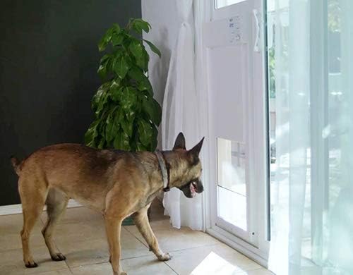 Power Pet Automatic Sliding Glass Patio Pet Door by High Tech Pet - Pet Operated Dog Door, Heavy-Duty Aluminum Frame (75" - 80 1/4"), Secure, Air Tight, for Cats and Dogs up to 30 lbs. Easy Install
