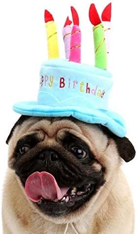 Cute Adorable Dog Cat Birthday Cake Hat Pet Cap Headwear Hat with 5 Color Candles Design Party Custom Accessory (One Size fits Most) (Pink)