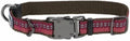 Coastal Pet K9 Explorer Reflective Adjustable Dog Collar - Comfortable Collar for The Outdoors - Durable, Lightweight Accessory with Side-Release Buckle - Berry, 5/8" x 10-14"