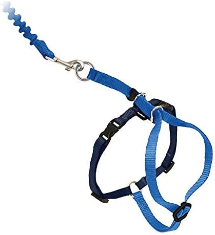 PetSafe Come With Me Kitty Cat Harness & Bungee Leash - Comfortable Cat Harness with Lightweight Bungee Leash for Outdoor Fun - More Secure Walks - Medium - Royal Blue
