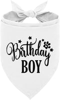 Happy Birthday Dog Bandana, Dog Bandana for Small Medium Large Dogs, Boy Pet Birthday, White Pet Bandanas, Dogs 1st Birthday Boy (A16)