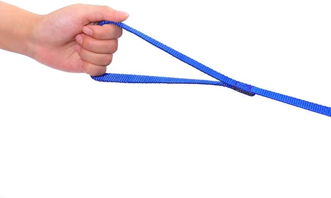AmaGood Dog/Puppy Obedience Recall Training Agility Lead-15 ft 20 ft 30 ft 50 ft Long Leash-for Dog Training,Tie Out,Play,Safety,Camping (30 feet, Blue)