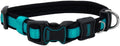 Coastal Pet - Coastal - Inspire Enhanced Core - Adjustable Collar, Aqua, 1" x 18"-26"