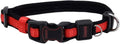 Coastal Pet - Coastal - Inspire Enhanced Core - Adjustable Collar, Red, 5/8" x 8"-12"