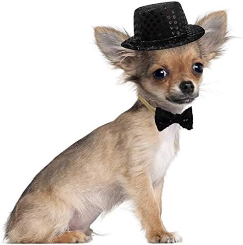 Christmas Pet Party Jazz Hat and Blingbling Bow Tie Breakaway Collar Set, Adjustable Headband for Kitten Puppy Small Dogs Cats (02 Black)