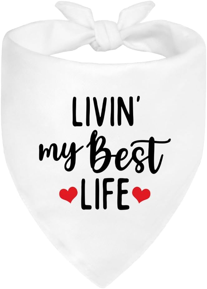 Livin' My Best Life White Dog Bandana, Sunshine Dog Bandanas Accessories for Photo Outdoor Playtime and Birthday Party, Christmas Thanksgiving Gifts for Pet Owner Puppy Mom Dad Pet Lover