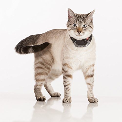 Marco Polo Advanced Pet Monitoring, Tracking and Locating System (for Dogs and Cats 5 lb and Larger)