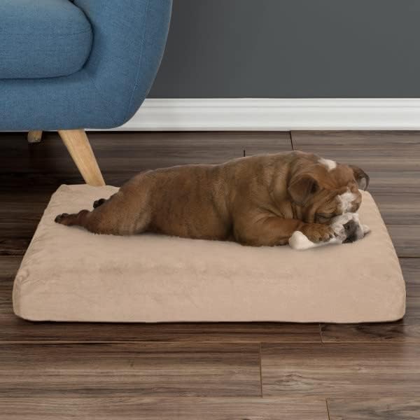 Memory Foam– 2-Layer Orthopedic Dog Bed with Machine Washable Cover - 26 x 19 for Medium Dogs up to 40lbs by PETMAKER (Tan)