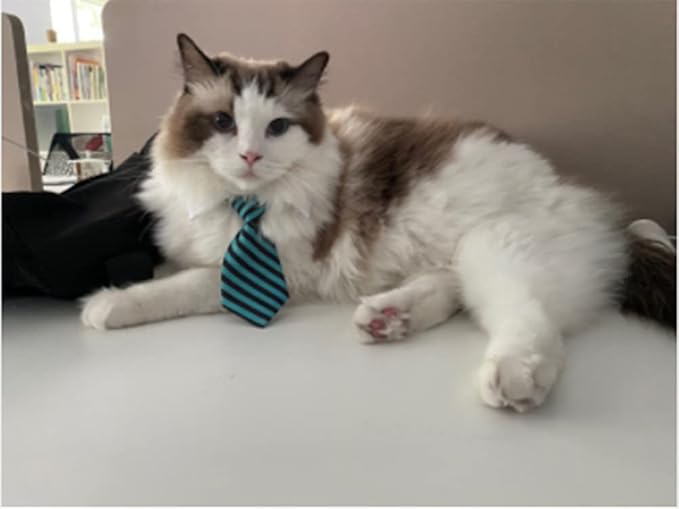 4 Pieces Pets Dog Cat Bowtie Pet Costume Adjustable Formal Necktie Collar for Cats Small Dogs Puppy Grooming Accessories
