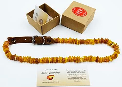 Baltic Amber Dog & Cat Collar - Adjustable Leather Strap with Raw Knotted Amber Beads (25-30cm)