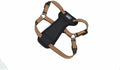 Coastal Pet K9 Explorer Reflective Adjustable Padded Dog Harness - Plush Chest Pad for Comfort - No-Pull Dog Harness for Small and Large Dogs - Campfire Orange - 5/8" x 16"-24", Small